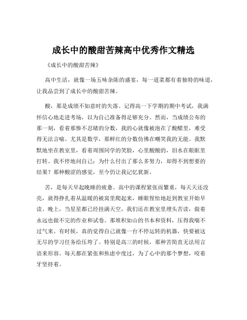 成长中的酸甜苦辣高中优秀作文精选