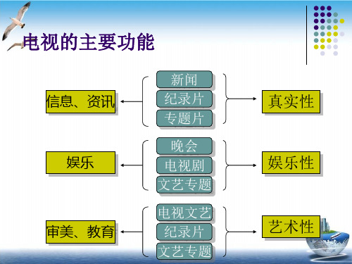 电视艺术概论课件PPT