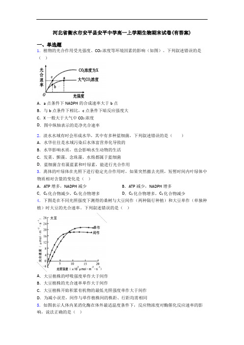 河北省衡水市安平县安平中学高一上学期生物期末试卷(有答案)