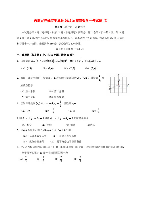 内蒙古赤峰市宁城县高三数学一模试题 文