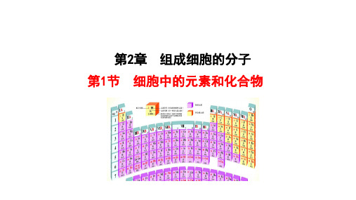 新教材高中生物第2章组成细胞的分子第1节细胞中的元素和化合物课件新人教版必修110221267