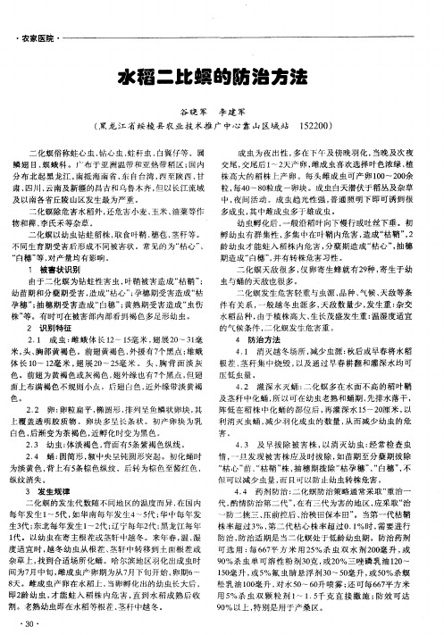 水稻二比螟的防治方法