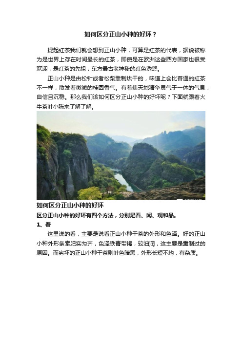 如何区分正山小种的好坏？