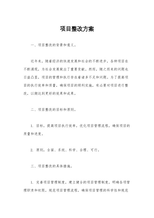 项目整改方案