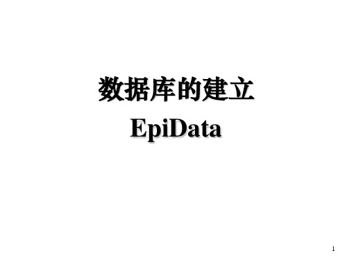 数据库的建立EPIdata(2)精品PPT课件