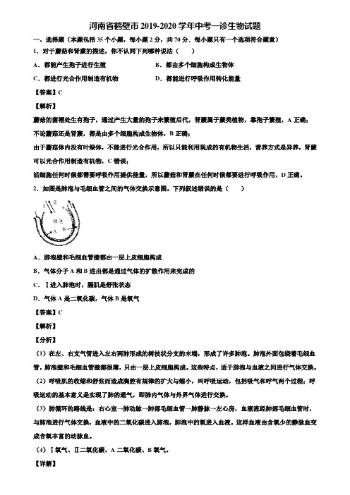 河南省鹤壁市2019-2020学年中考一诊生物试题含解析