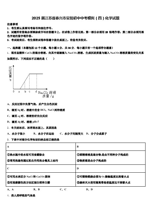 2025届江苏省泰兴市实验初中中考模拟(四)化学试题含解析