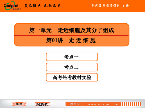 高中生物高2020届高2017级一轮复习赢在微点高考复习顶层设计生物1-1