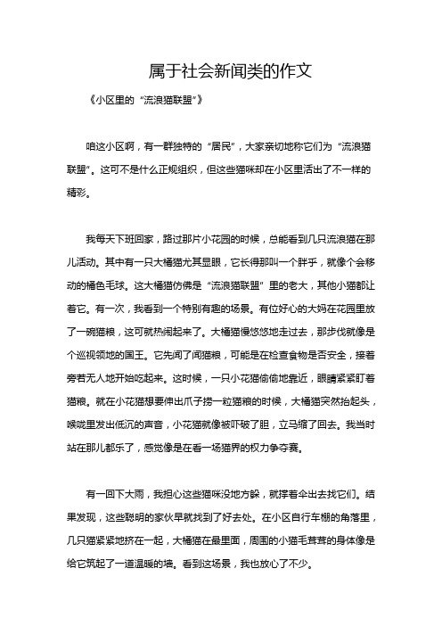 属于社会新闻类的作文