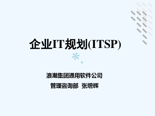 企业IT规划(ITSP)PPT课件