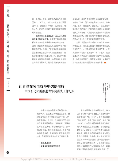 让青春在突击攻坚中熠熠生辉——中国石化团委推进青年突击队工作纪实