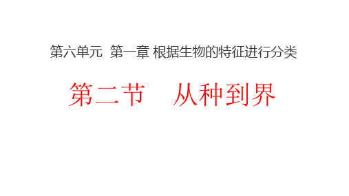 人教版八年级生物上册6.1.2从种到界公开课一等奖ppt课件