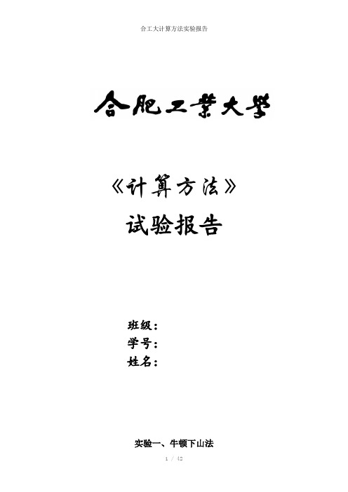 合工大计算方法实验报告参考模板