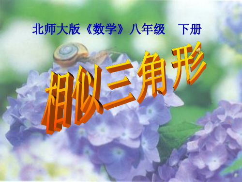 北师大版八年级下册4.5相似三角形课件PPT