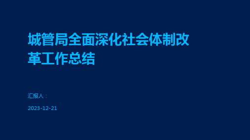 城管局全面深化社会体制改革工作总结