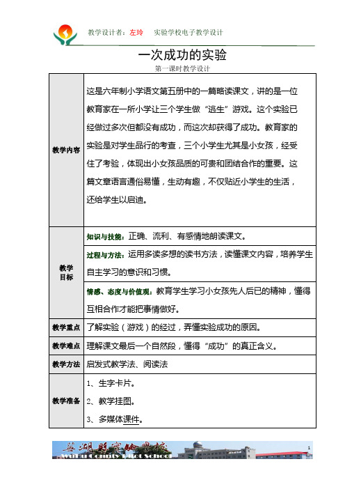 一次成功的实验第一课时教学设计