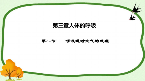 4.3.1呼吸道对空气的处理课件 (共31张PPT)人教版生物七年级下册