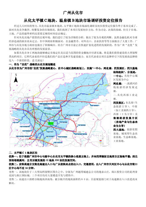 广州从化市市场定位报告