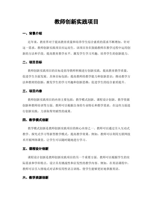 教师创新实践项目