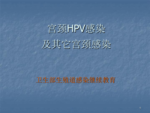 hpv与宫颈癌ppt课件