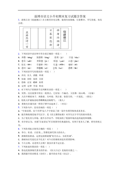 淄博市语文小升初期末复习试题含答案