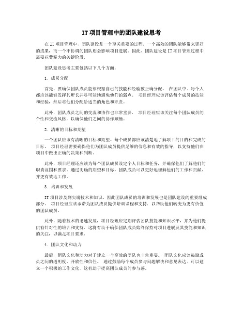 IT项目管理中的团队建设思考