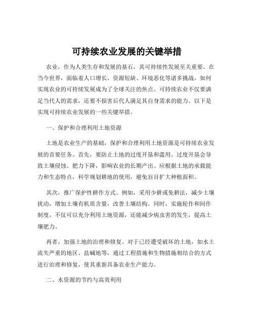 可持续农业发展的关键举措