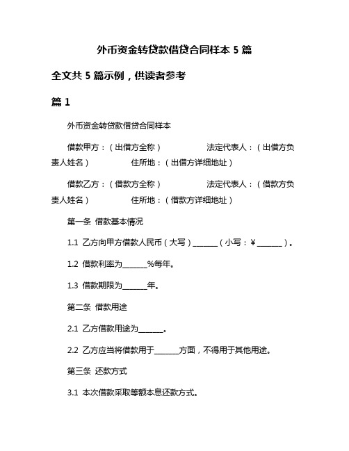 外币资金转贷款借贷合同样本5篇