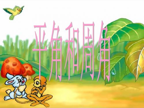 四年级数学上册课件 平角和周角