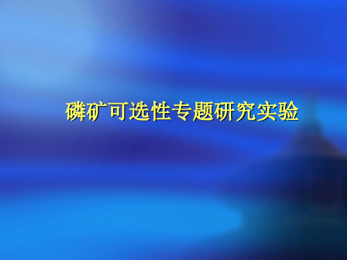 第八章磷矿可选性专题研究实验专题试验