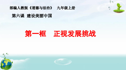 人教版道德和法治九年级上册 6.1 正视发展挑战 课件(共19张PPT)