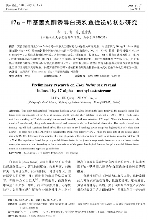 17α-甲基睾丸酮诱导白斑狗鱼性逆转初步研究