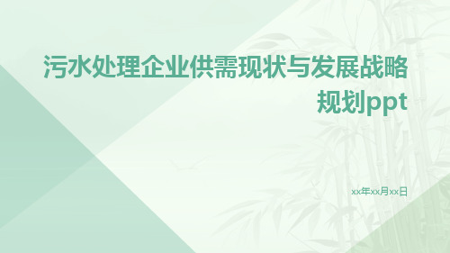 污水处理企业供需现状与发展战略规划PPT