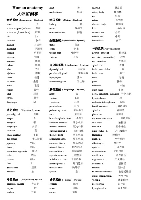 系统解剖英文名词(100)