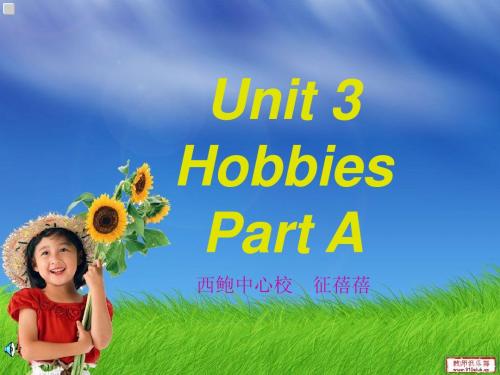 Hobbies(A)课件