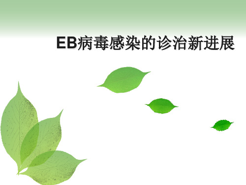 EB病毒最新进展