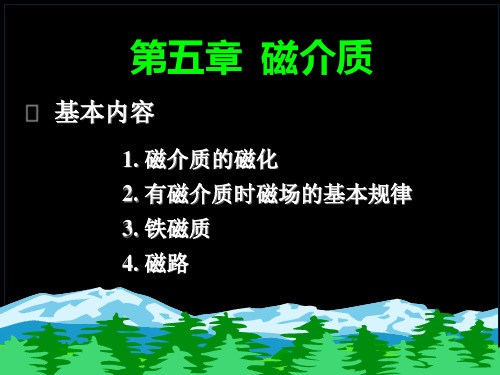 磁介质解析PPT教学课件