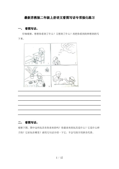 最新苏教版二年级上册语文看图写话专项强化练习