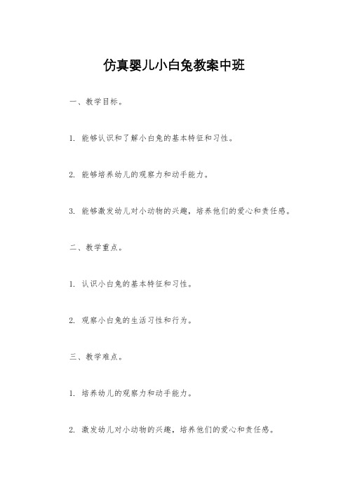 仿真婴儿小白兔教案中班