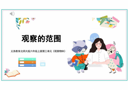 小学数学北师大版(2024)六年级上《观察的范围》说课课件