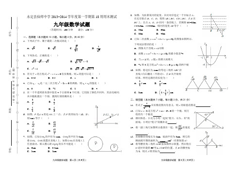 永定县仙师中学2013~2014学年度第一学期第18周周末测试九年级数学试题(含答案)