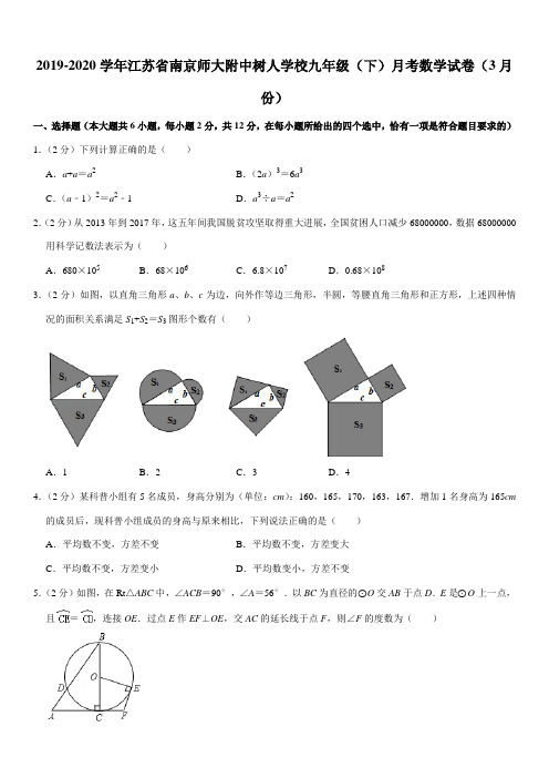 2019-2020学年江苏省南京师大附中树人学校九年级(下)月考数学试卷(3月份)