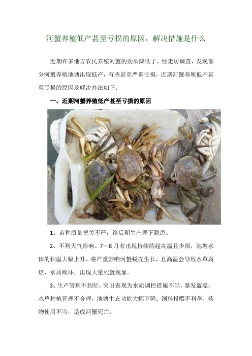 河蟹养殖低产甚至亏损的原因,解决措施是什么