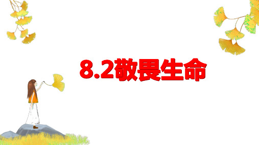 8.2敬畏生命课件(共32张PPT)