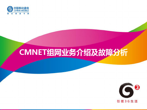 CMNET组网业务介绍与故障分析