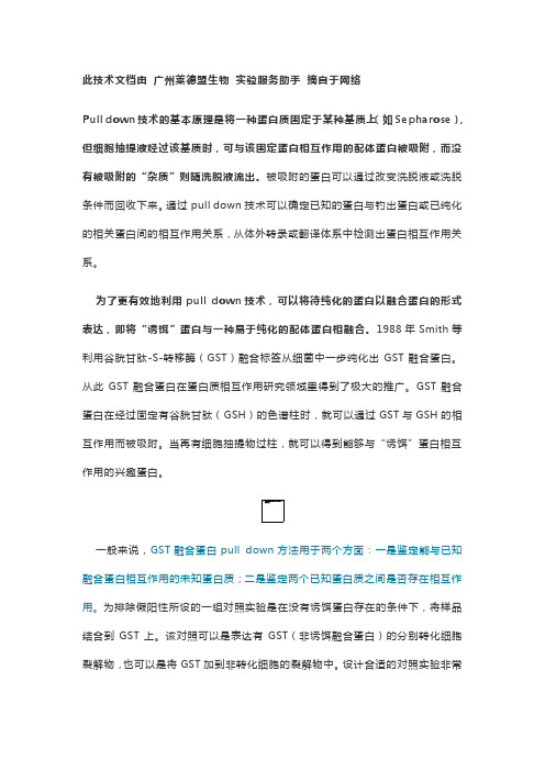 Pull down与免疫共沉淀实验