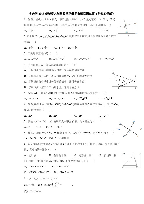 鲁教版2019学年度六年级数学下册期末模拟测试题(附答案详解)