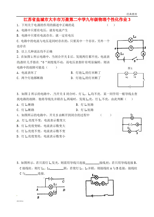 江苏省盐城市大丰市万盈第二中学九年级物理个性化作业3(无答案) 苏科版