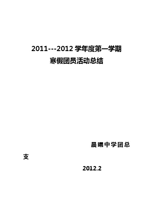 2011-2012年第一学期寒假社会实践活动 校团总支总结