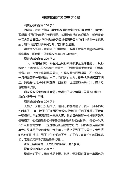 观察蚂蚁的作文200字6篇